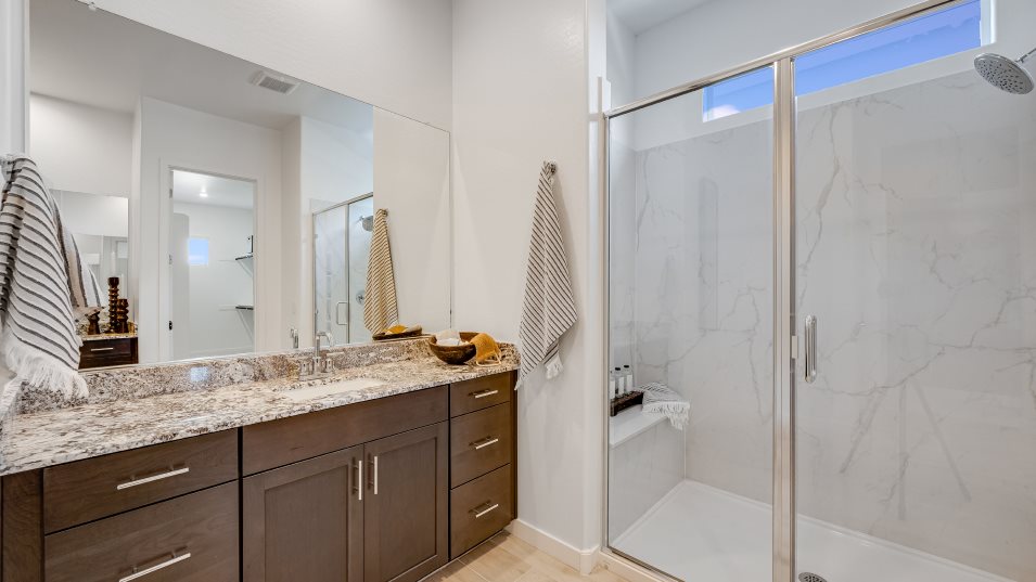 Evolution Owner's Suite