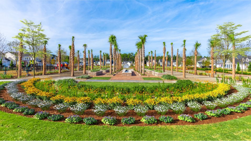 park