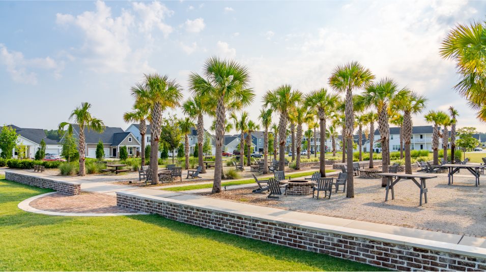 picnic area