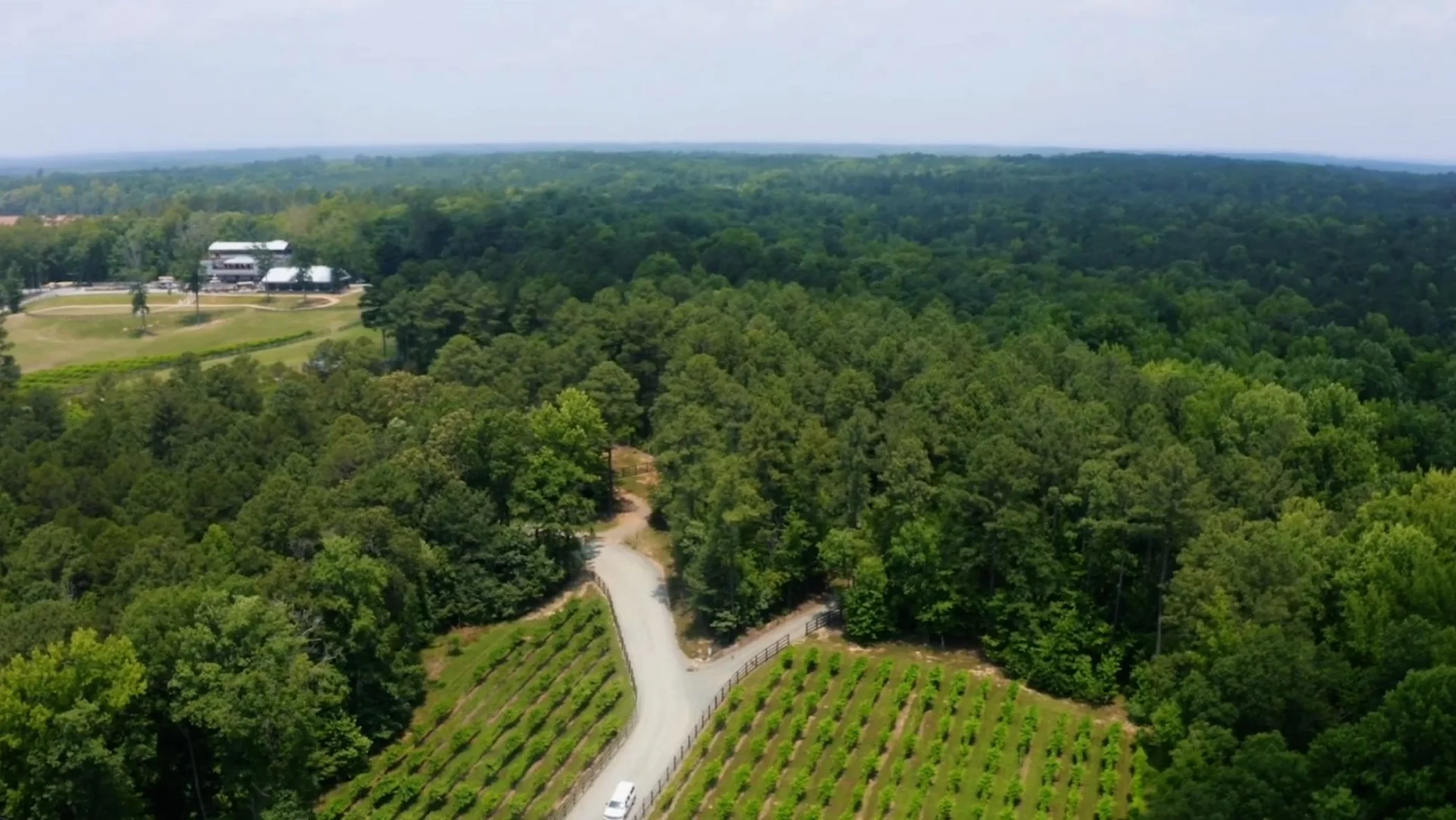 Harlowe Point Community