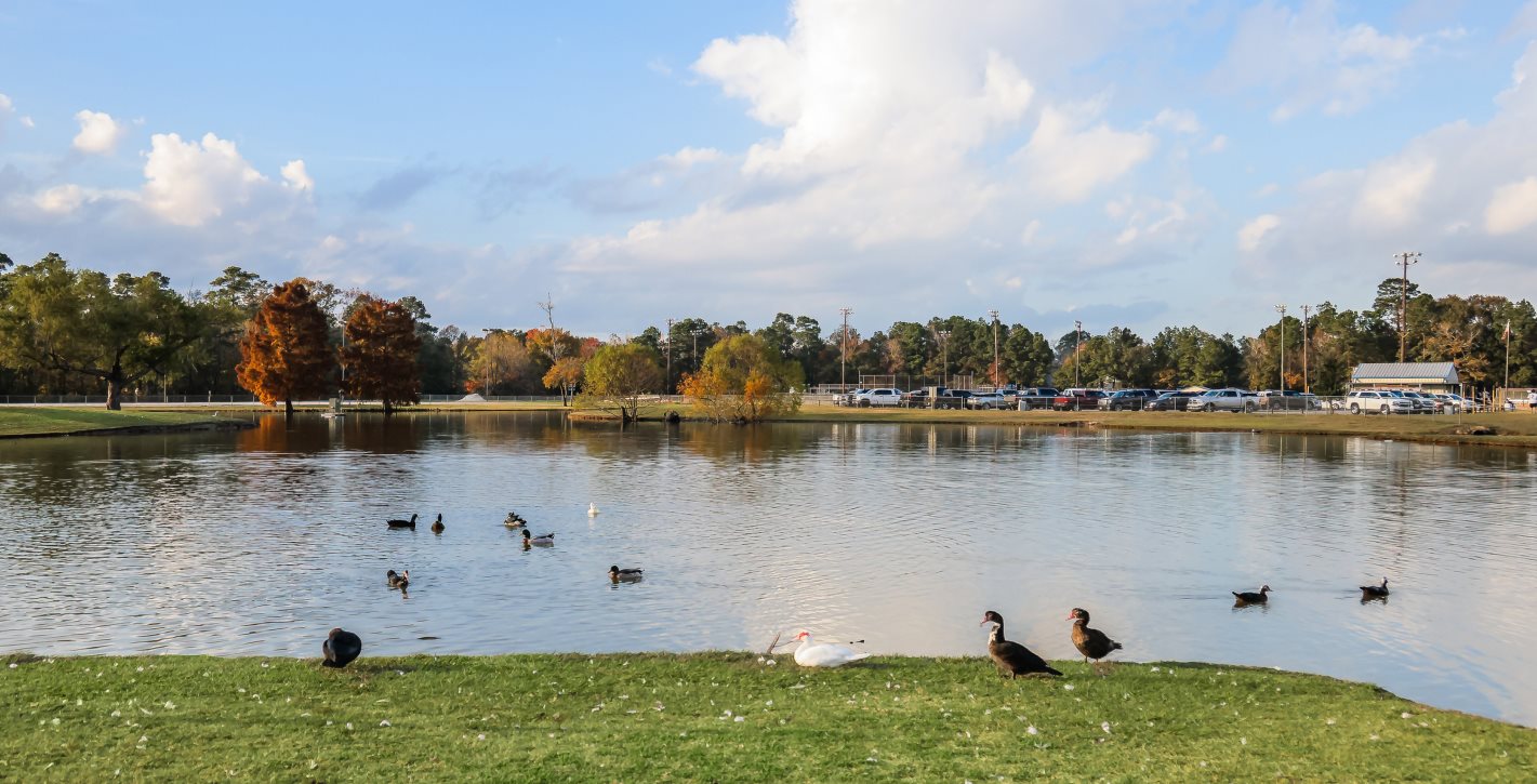 Local county parks