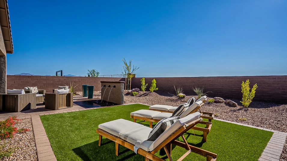 Palo Verde II Backyard