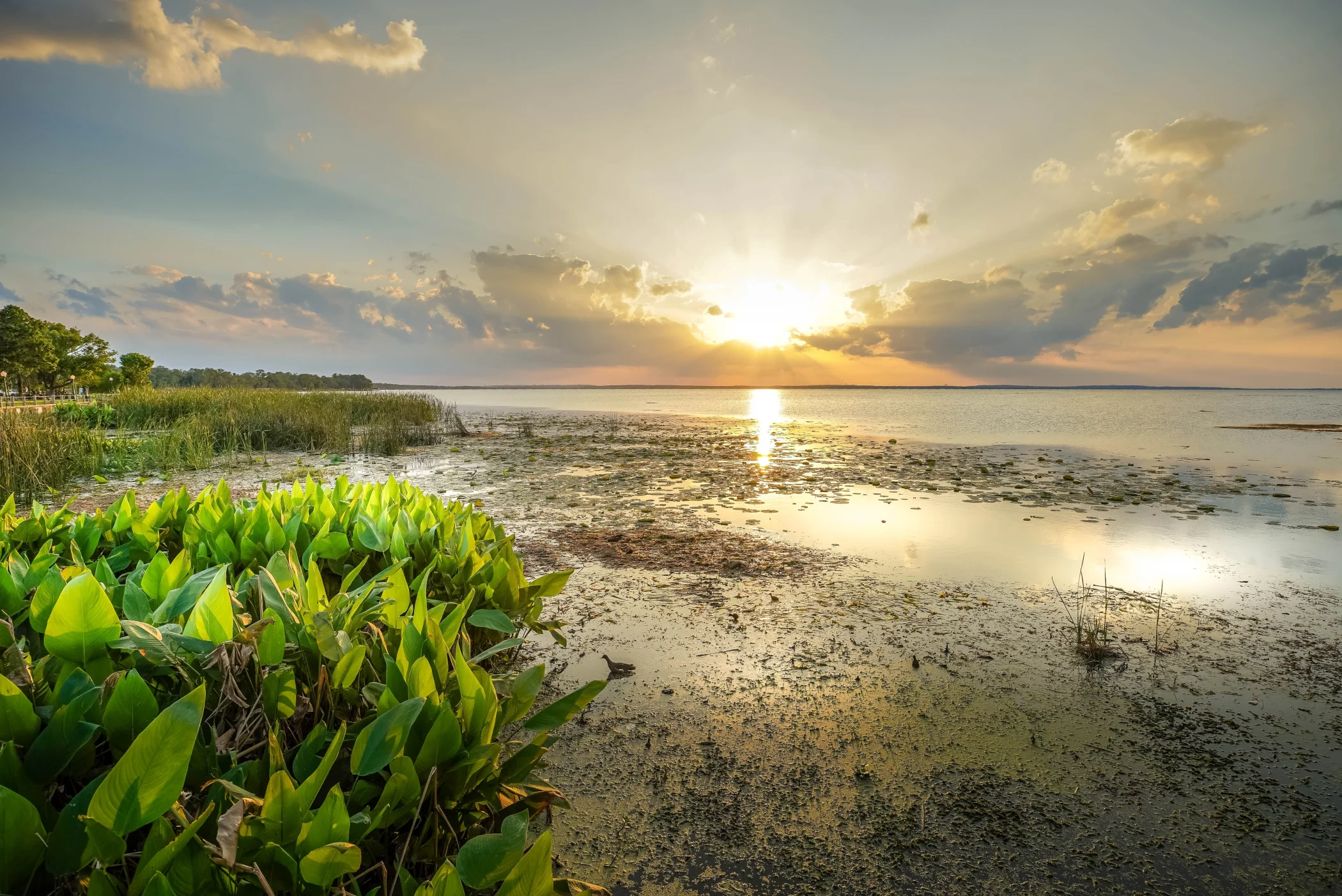 Adobe Stock 514879774