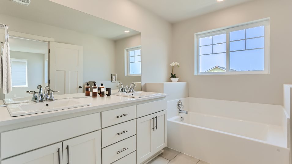 Savoie Owner's Suite Bathroom
