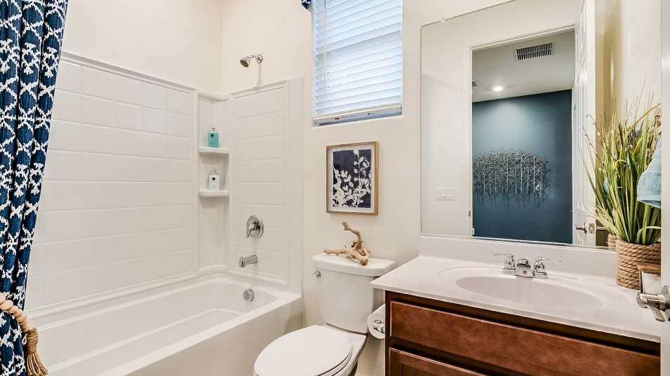 Mesquite Bathroom 2
