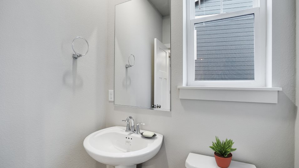Ivy Powder Room