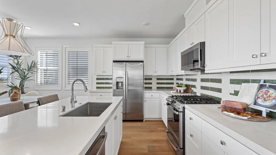 Orion 1 Kitchen