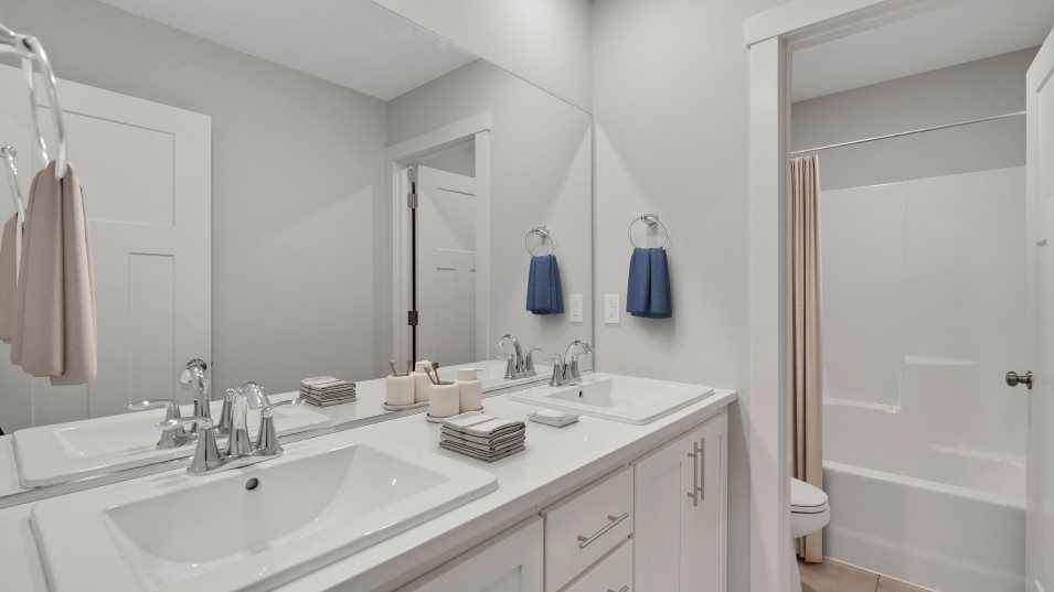Bainbridge Bathroom 2