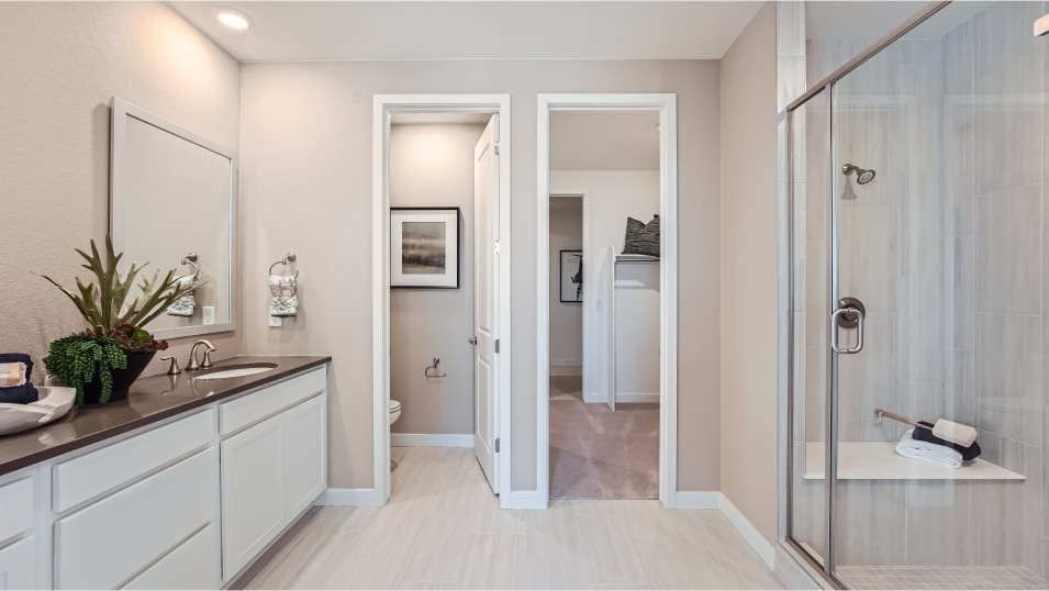Davis owners suite bath