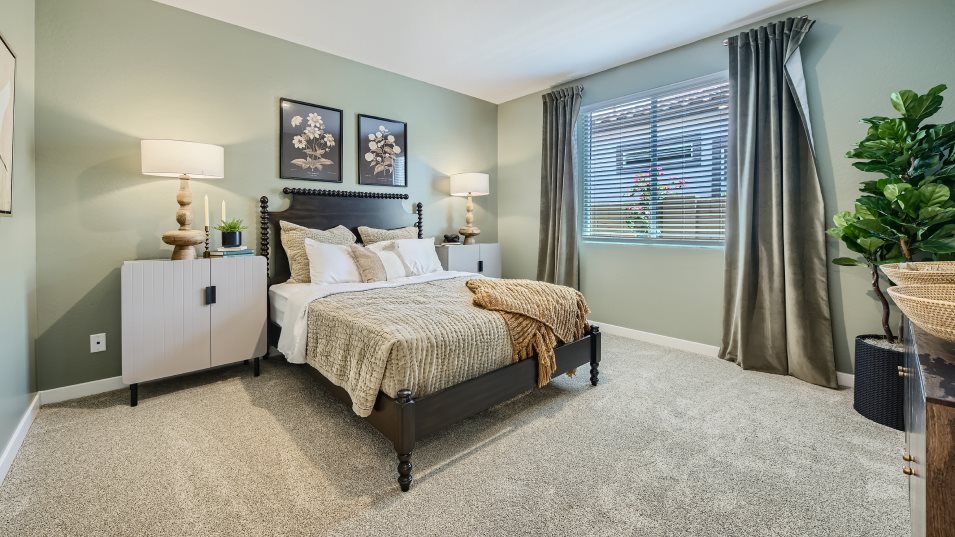 Revolution Next Gen Suite