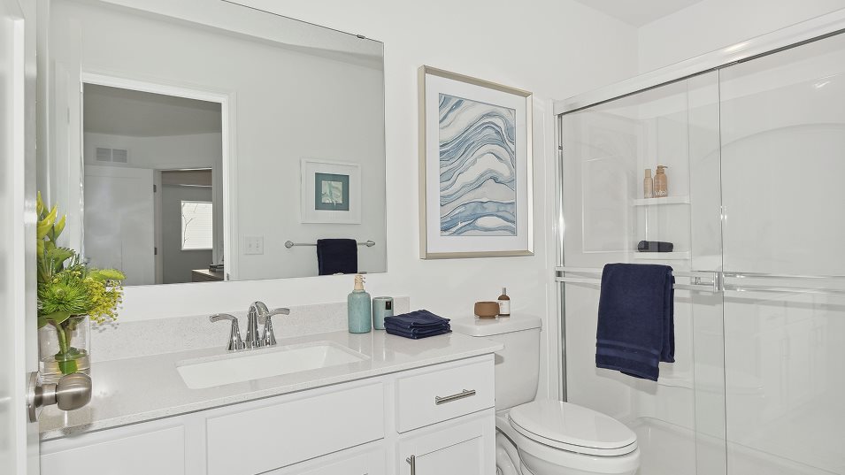 Walker Owners Bathroom