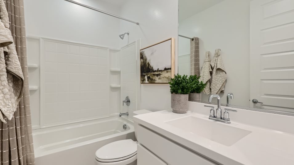 Ironwood Bathroom 3