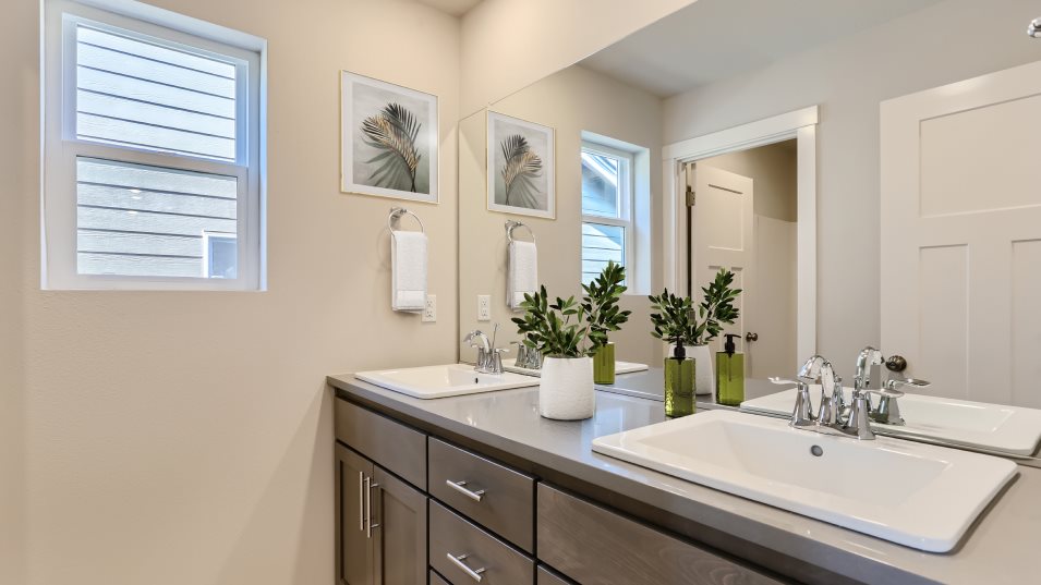 Fairview Bathroom 2