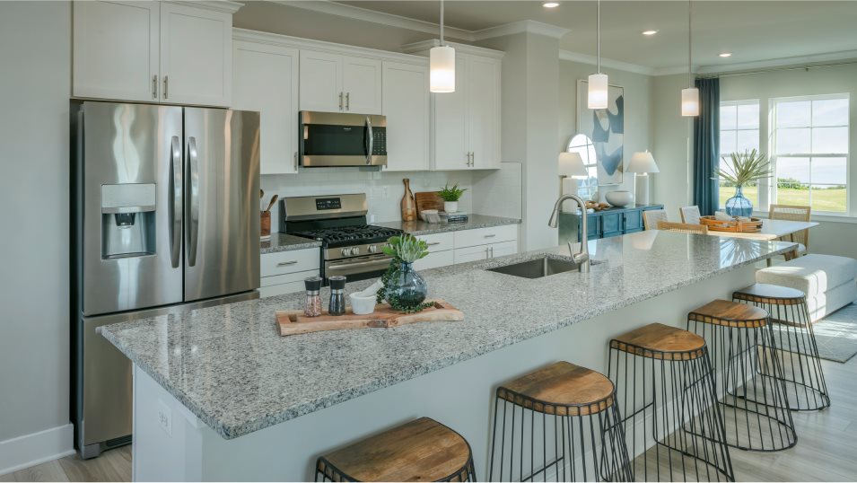 ArcadiaFL Kitchen