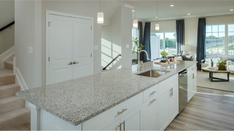 ArcadiaFL Kitchen