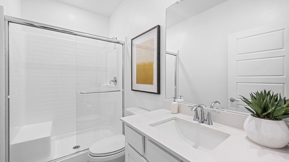 2469 Pioneer NG Bath F1