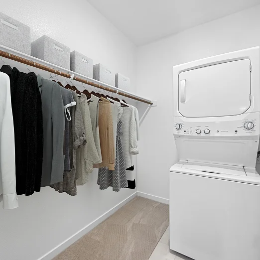 2469 Pioneer NG Laundry F1