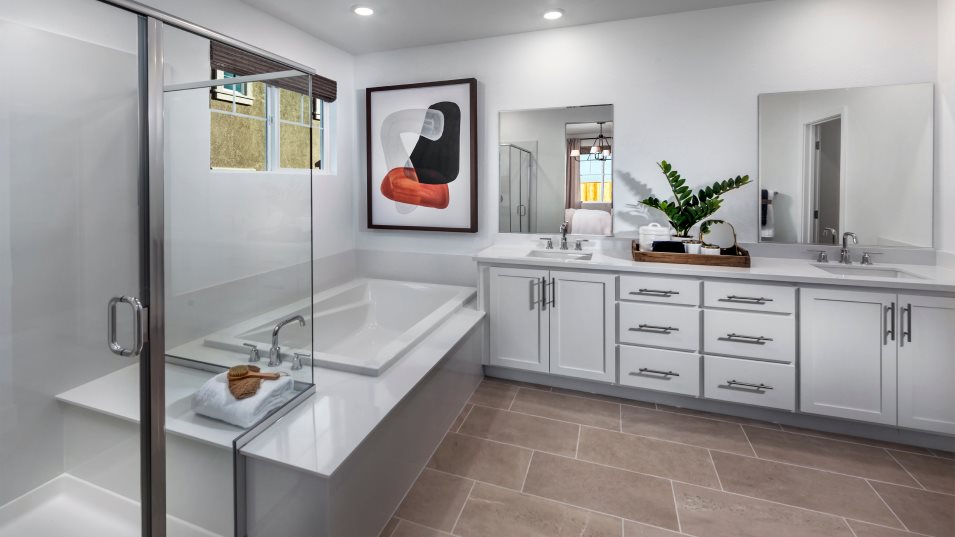 Owner's Bathroom