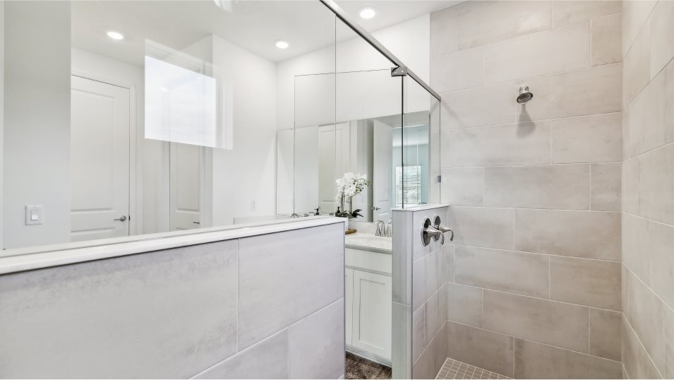 owners bathroom 