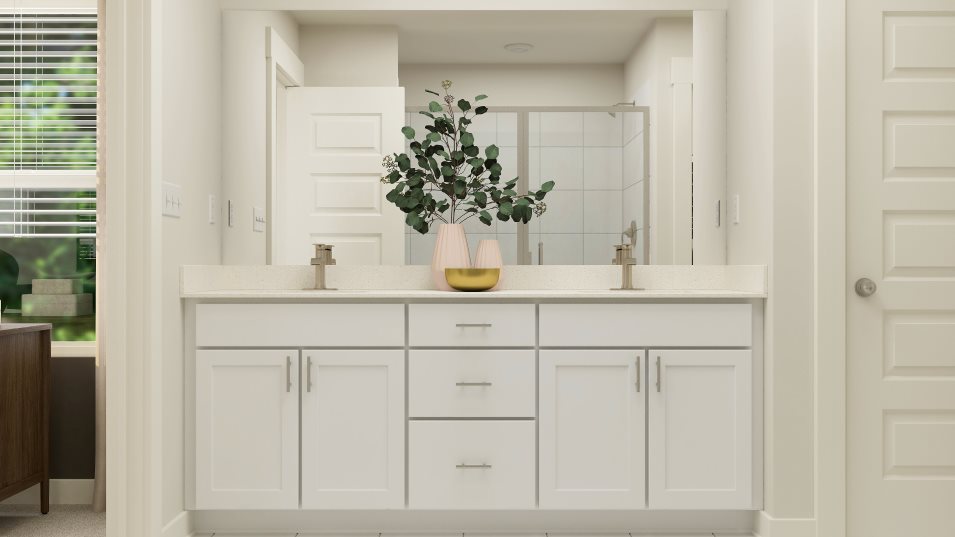 Owners Bathroom