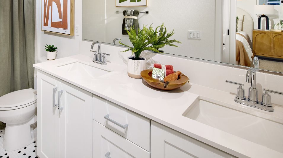 double sinks