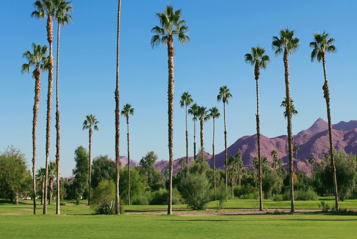 Local Golf Courses