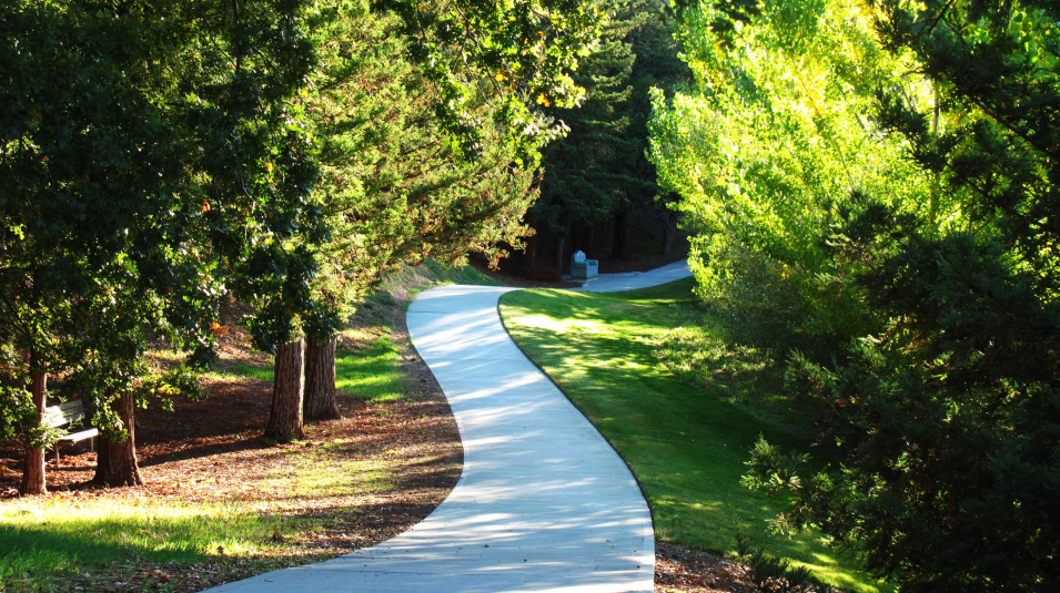 Local Trail