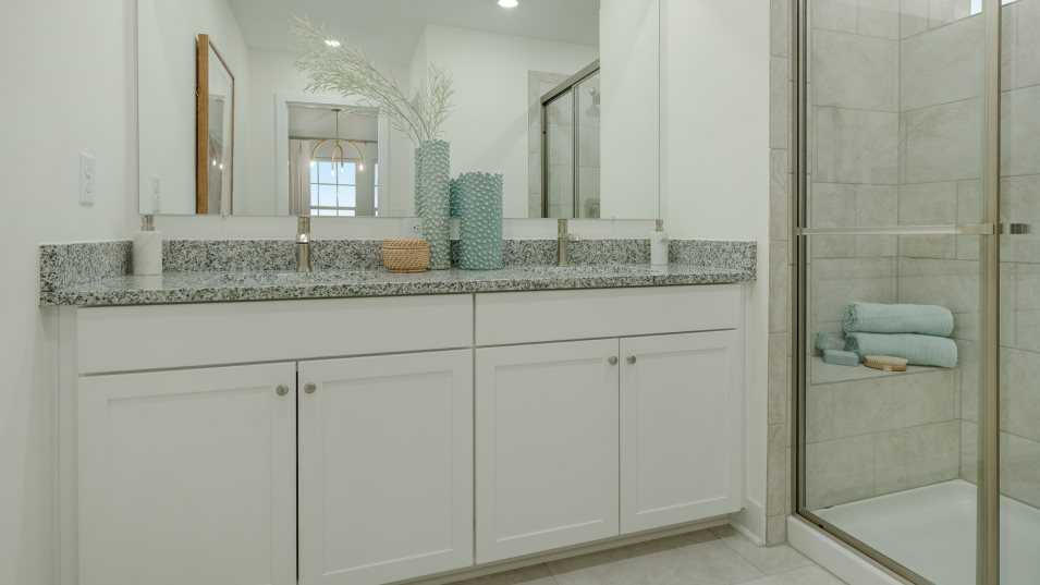 Ellicott Owners Bathroom