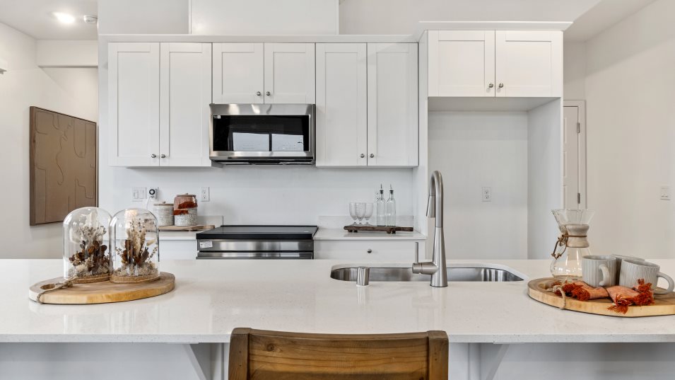 Draco Kitchen