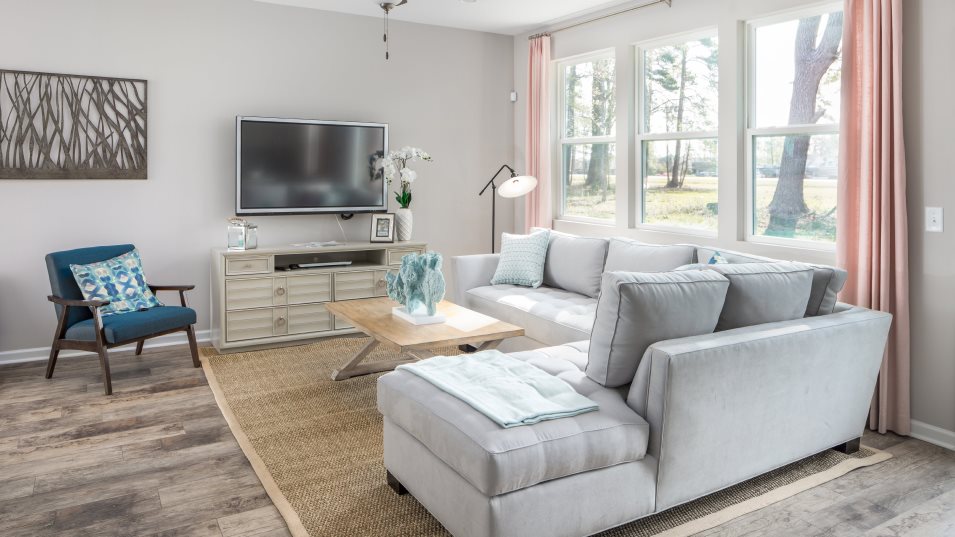 Savannah family room