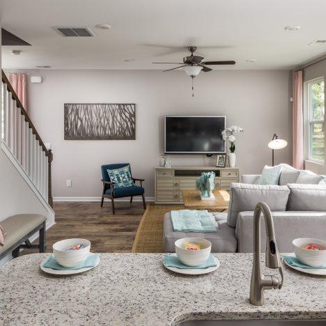 Savannah family room
