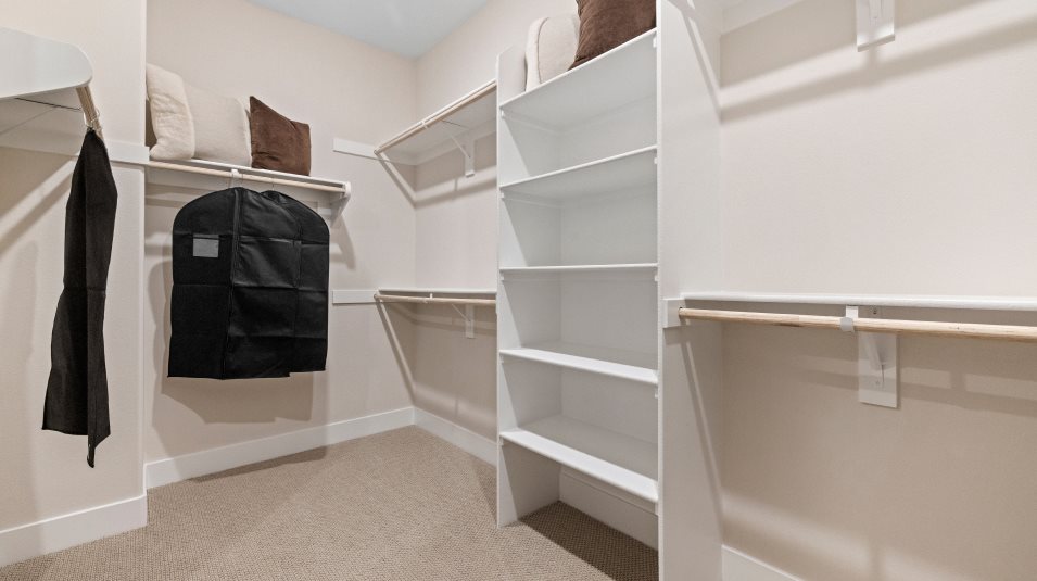 Walk in closet interior