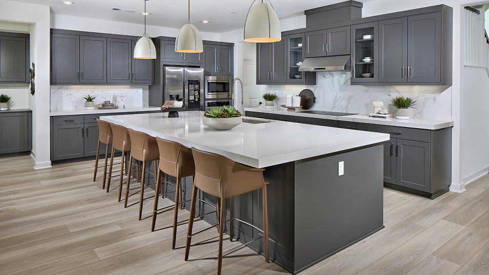 Mahogany North River Farms Res1 Kitchen 1of3 F1