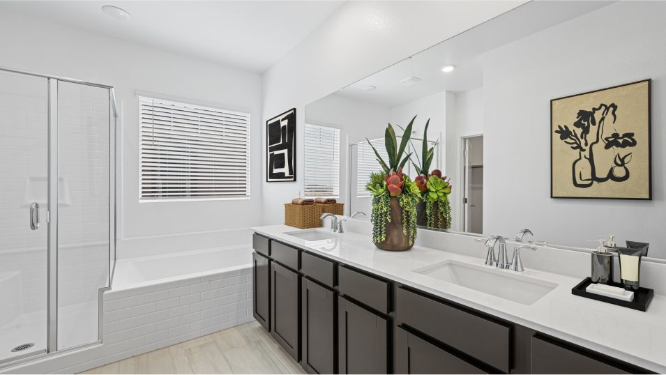 Bellevue Owner's Suite Bathroom