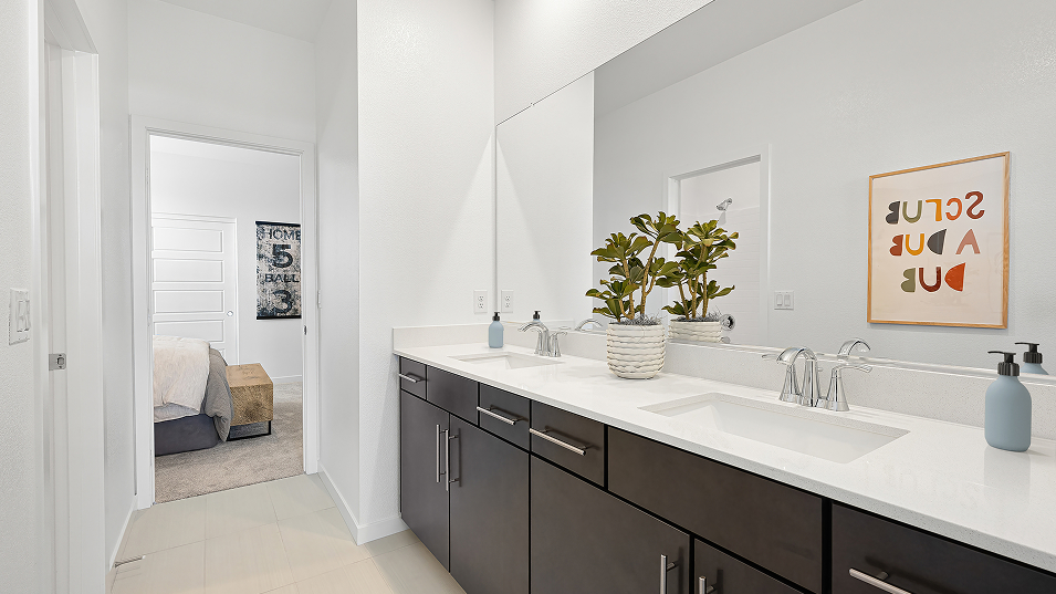 2668 Antoinette Bath2 F1 Base2