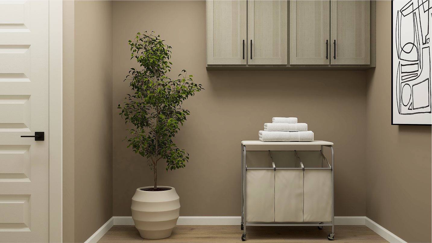 Blueberry laundry room