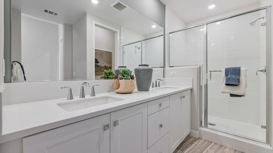 Owners suite bathroom