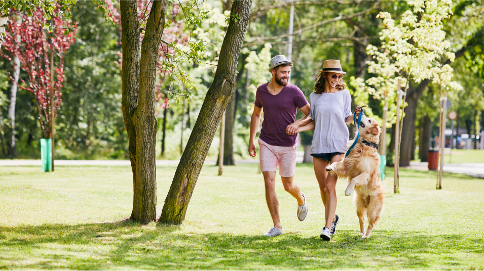 Dog Park