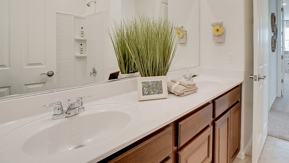 Ocotillo Bathroom 2