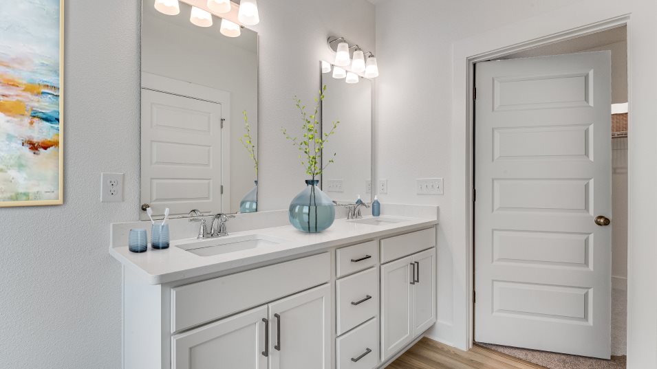 owners bathroom