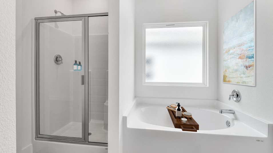 owners bathroom
