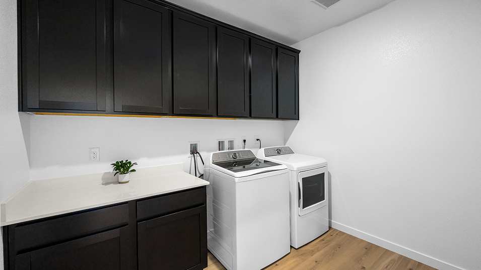 3210 Peter Laundry F2