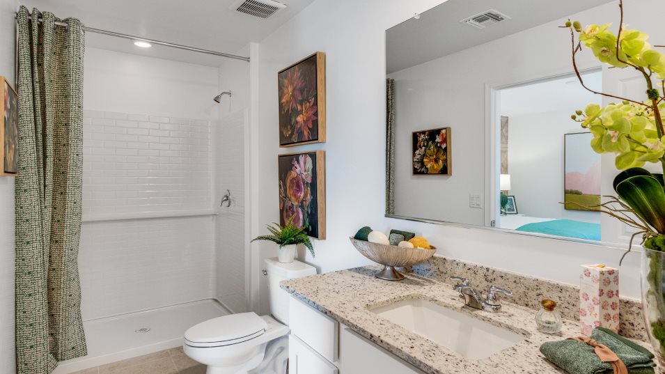 Owners Bath