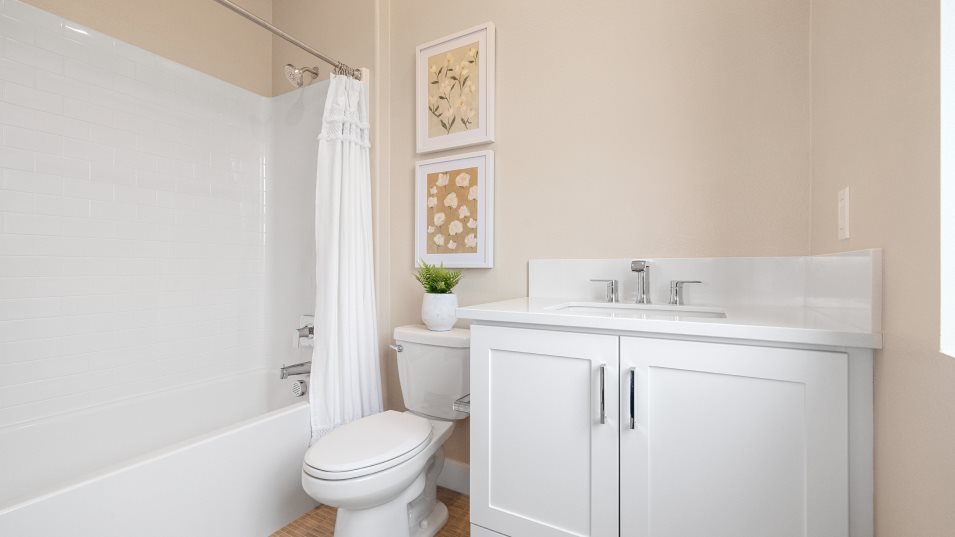 Bath2 interior with combo shower tub