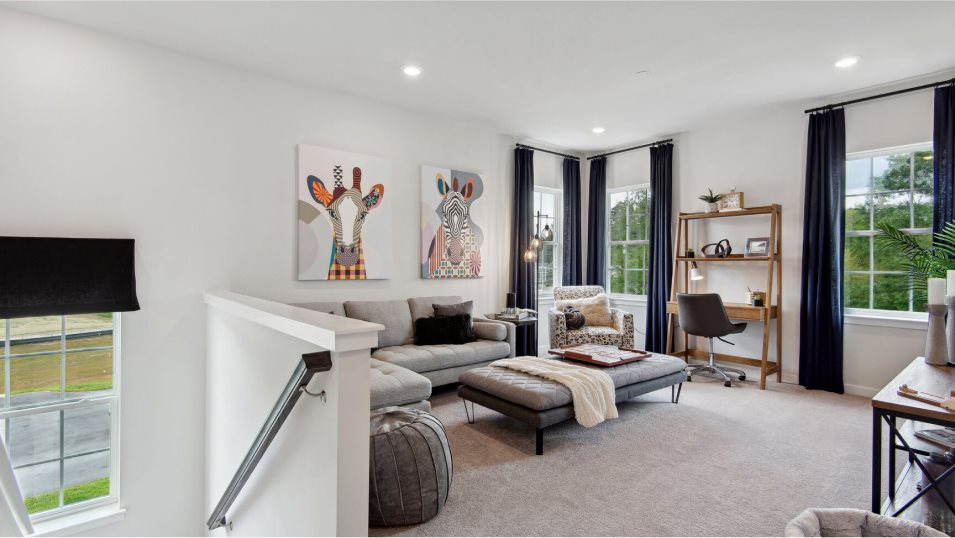 Columbia Basement Loft