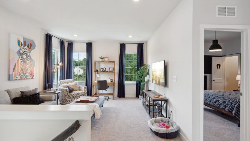 Columbia Basement Loft