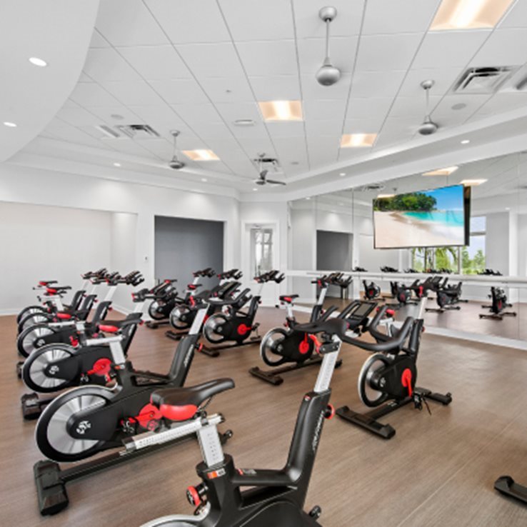Vista Wild Blue Sports Club Spin Studio