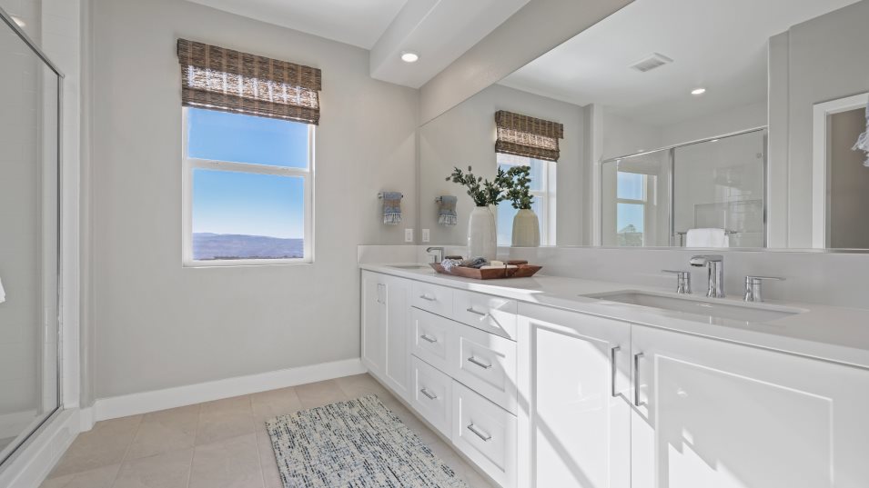 owners bathroom
