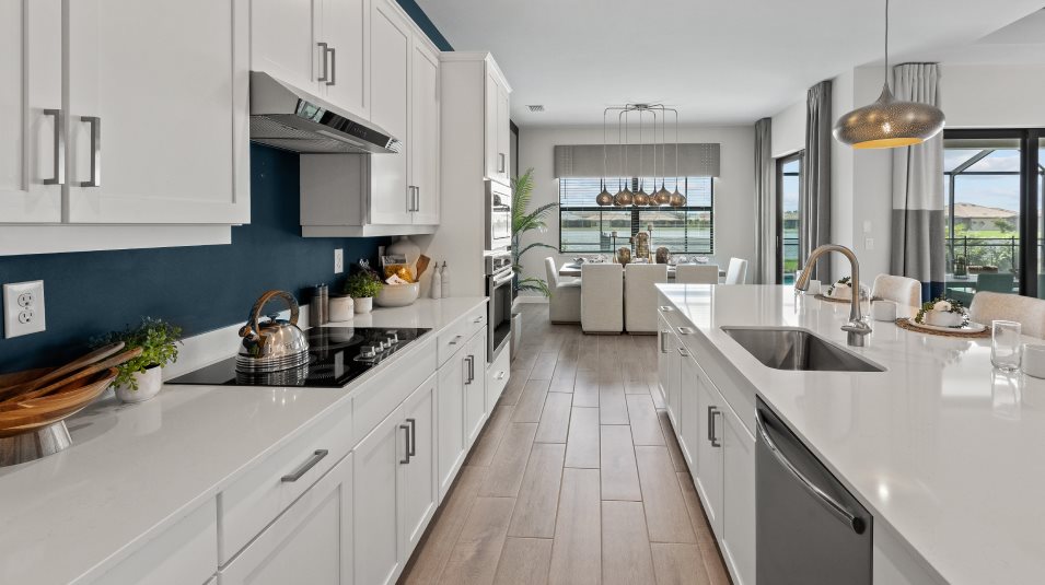 Kitchen Cooktop