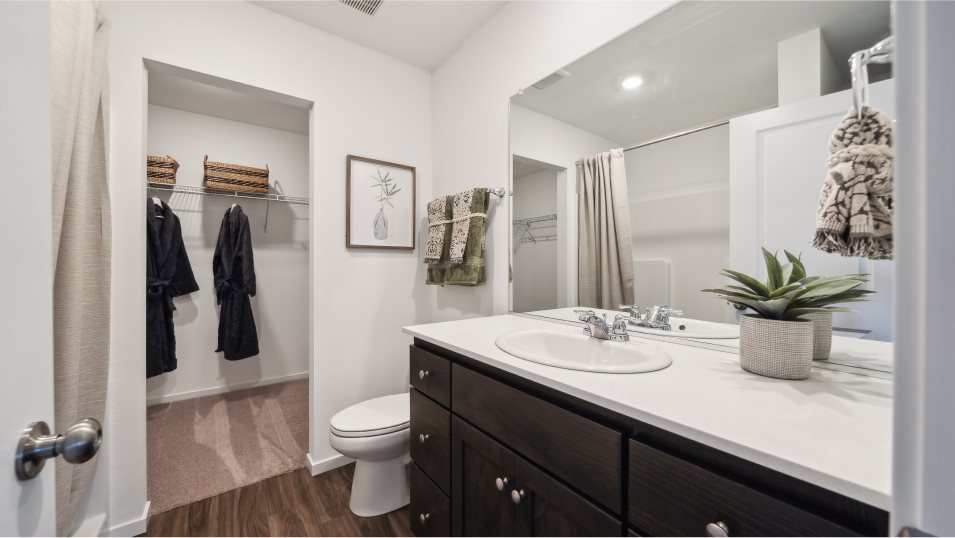 Damian Owner's Suite Bathroom